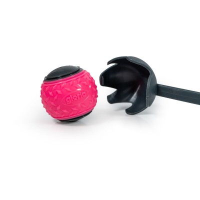 Kamuoliukų mėtymo žaislas...