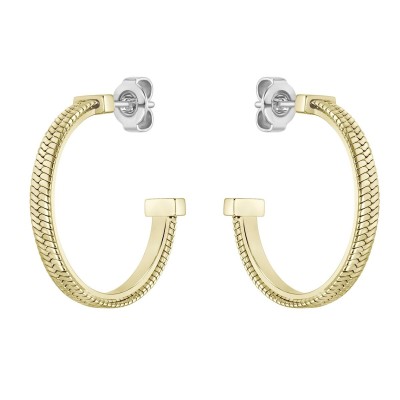 Ladies' Earrings Hugo Boss...
