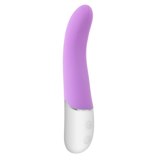Vibrators Evolved Rozā