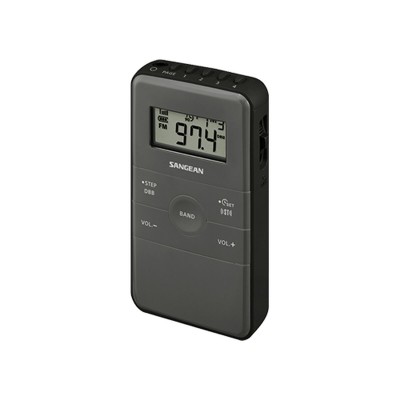 Portable Digital Radio...
