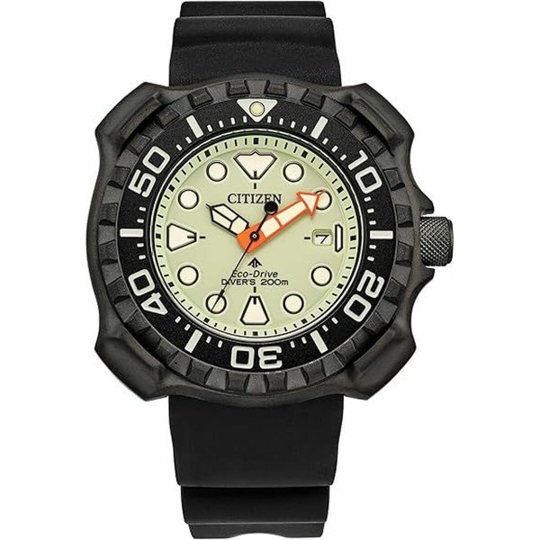 Мужские часы Citizen BN0227-25X