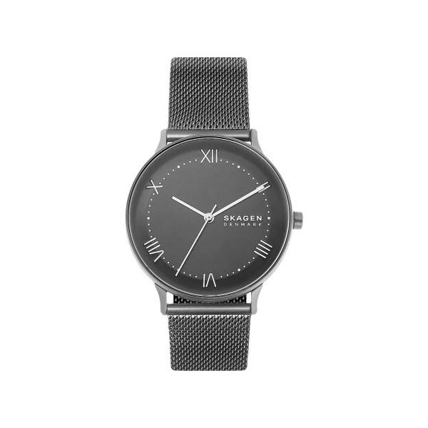 Мужские часы Skagen SKW6624 (Ø 40 mm)