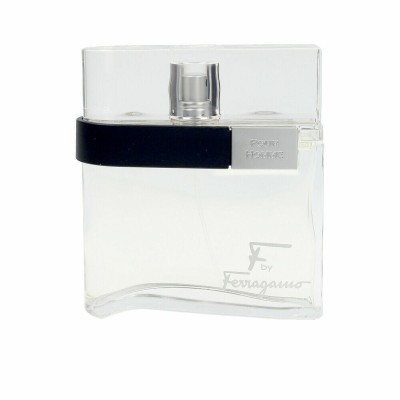 Men's Perfume Salvatore...