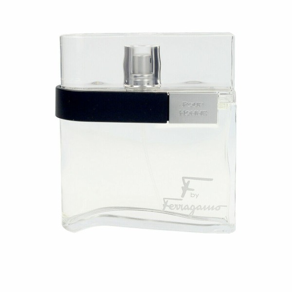 Miesten parfyymi Salvatore Ferragamo 860384 EDT 100 ml