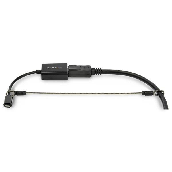 Saugumo kabelis Startech CONNLOCKPK20