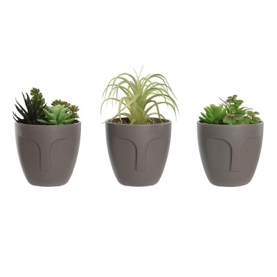 Decorative Plant DKD Home...