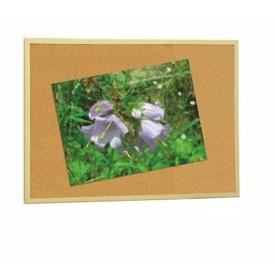 Korktahvel Faibo 60 x 90 cm