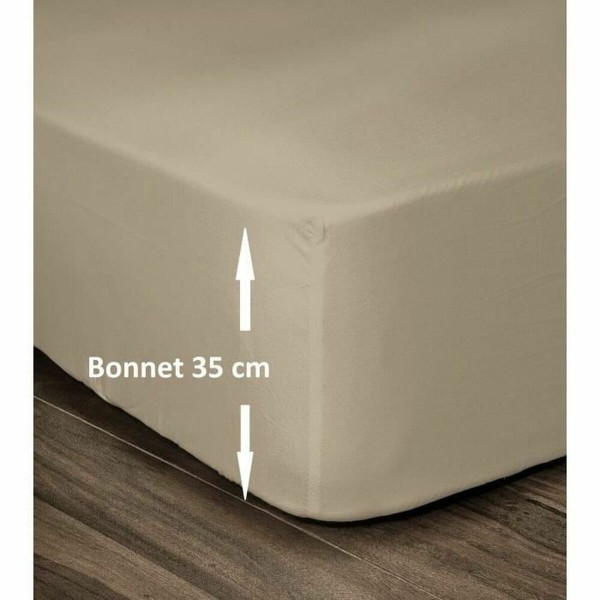 Fitted sheet Lovely Home Beige Double bed 140 x 190 cm