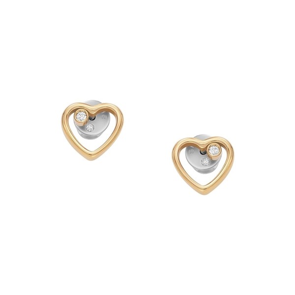 Ladies' Earrings Skagen SKJB1008710