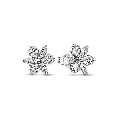 Ladies' Earrings Pandora...