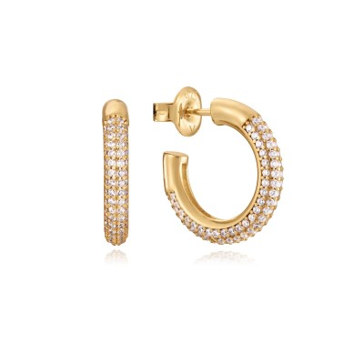 Naiste Kõrvarõngad Viceroy...