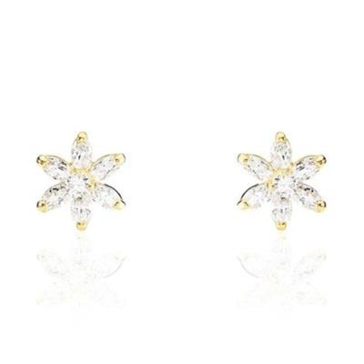 Ladies' Earrings Stroili...