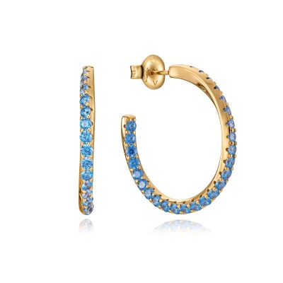 Ladies' Earrings Viceroy...