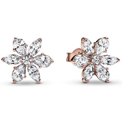 Ladies' Earrings Pandora...