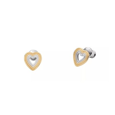 Ladies' Earrings Skagen...