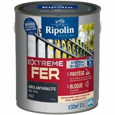 Primer Paint Ripolin Grey...
