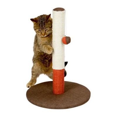Scratching Post for Cats...