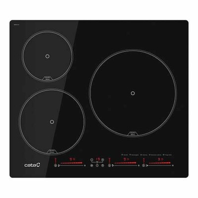 Induction Hot Plate Cata...